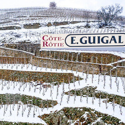 A January ‘Côte-Snôwtie’