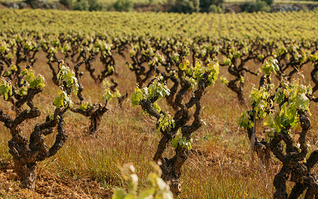 A masterclass in time-travel article image 2