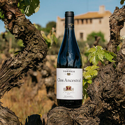 A masterclass in time-travel