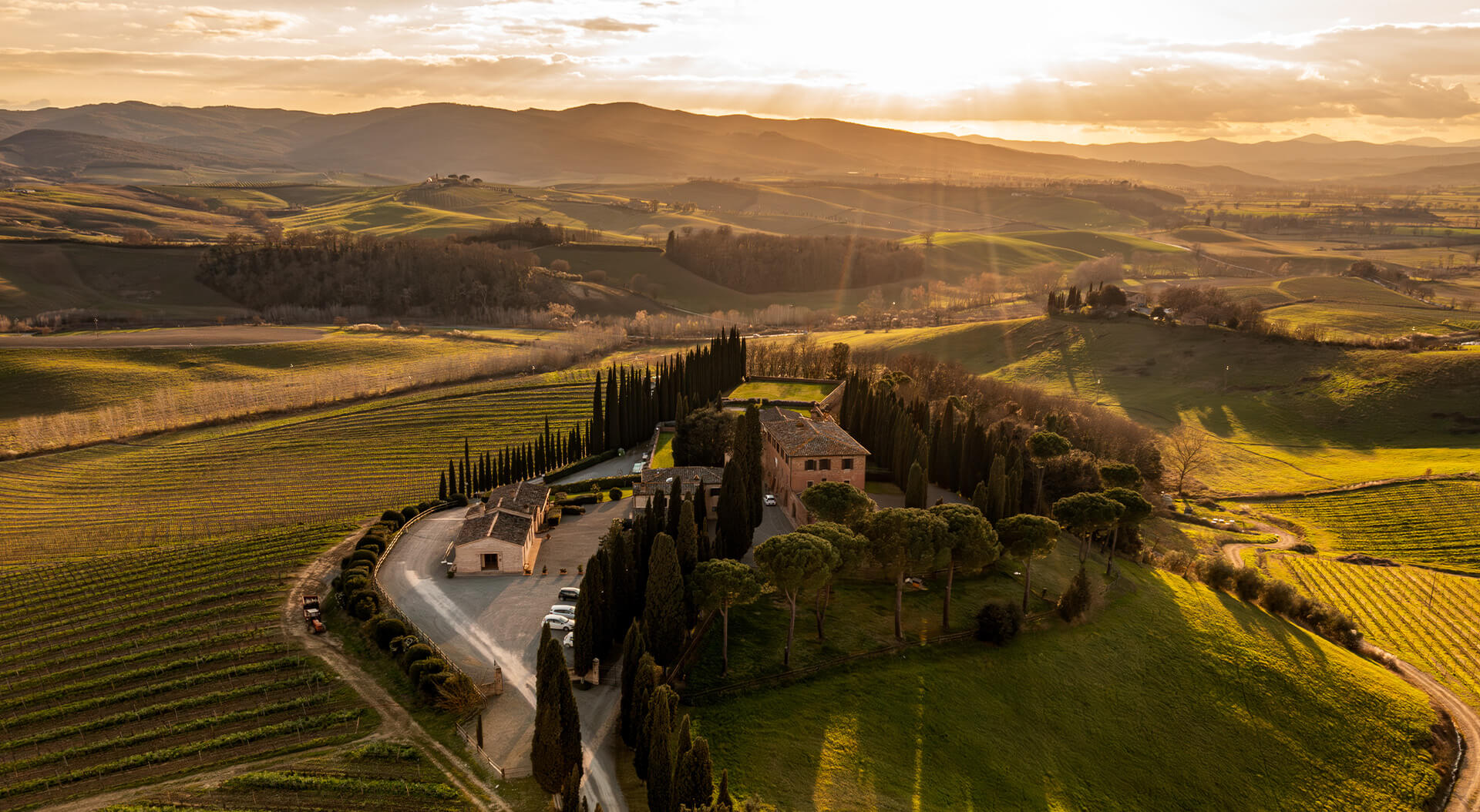 Altesino producer page slider image