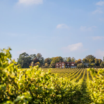 Birthplace of English Wine
