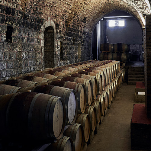 Chateau Musar Wines article image 1