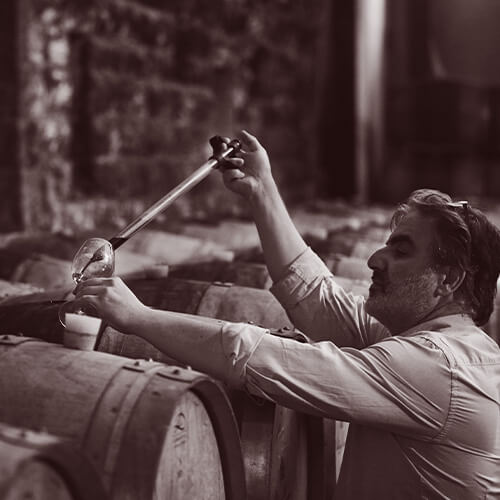 Chateau Musar Wines article image 2