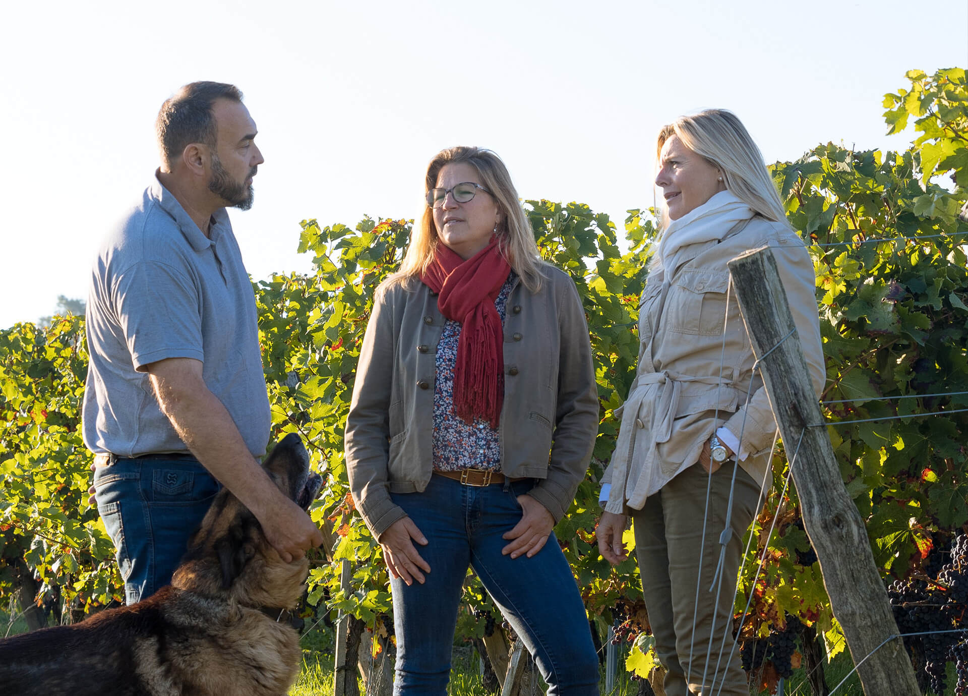 Clarence Dillon producer page main image