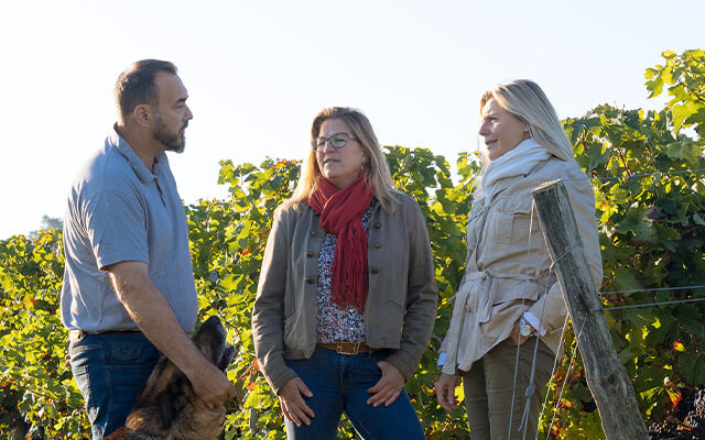 Clarence Dillon welcome to Fells article image 1