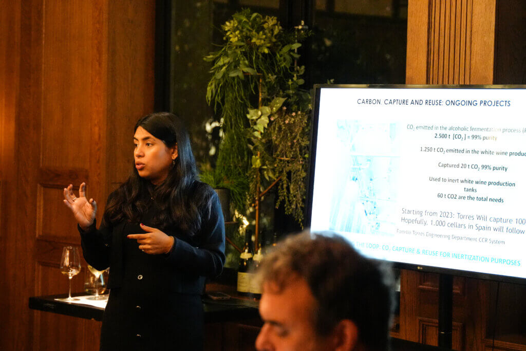 Torres Masterclass tasting October image 4