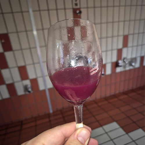 Diary of a wine maker week 2 article image 3