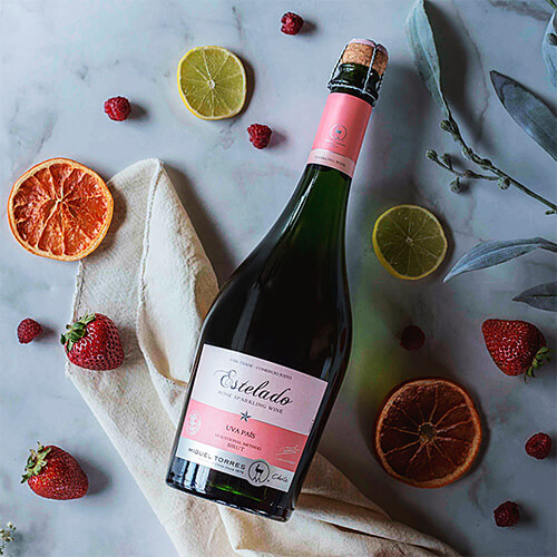 Festive fizz 2024 article chile estelado