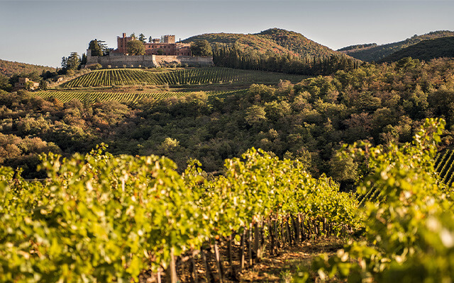 Guy wood ward article ricasoli image