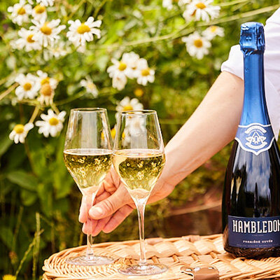 Hambledon Vineyard joins Fells Portfolio