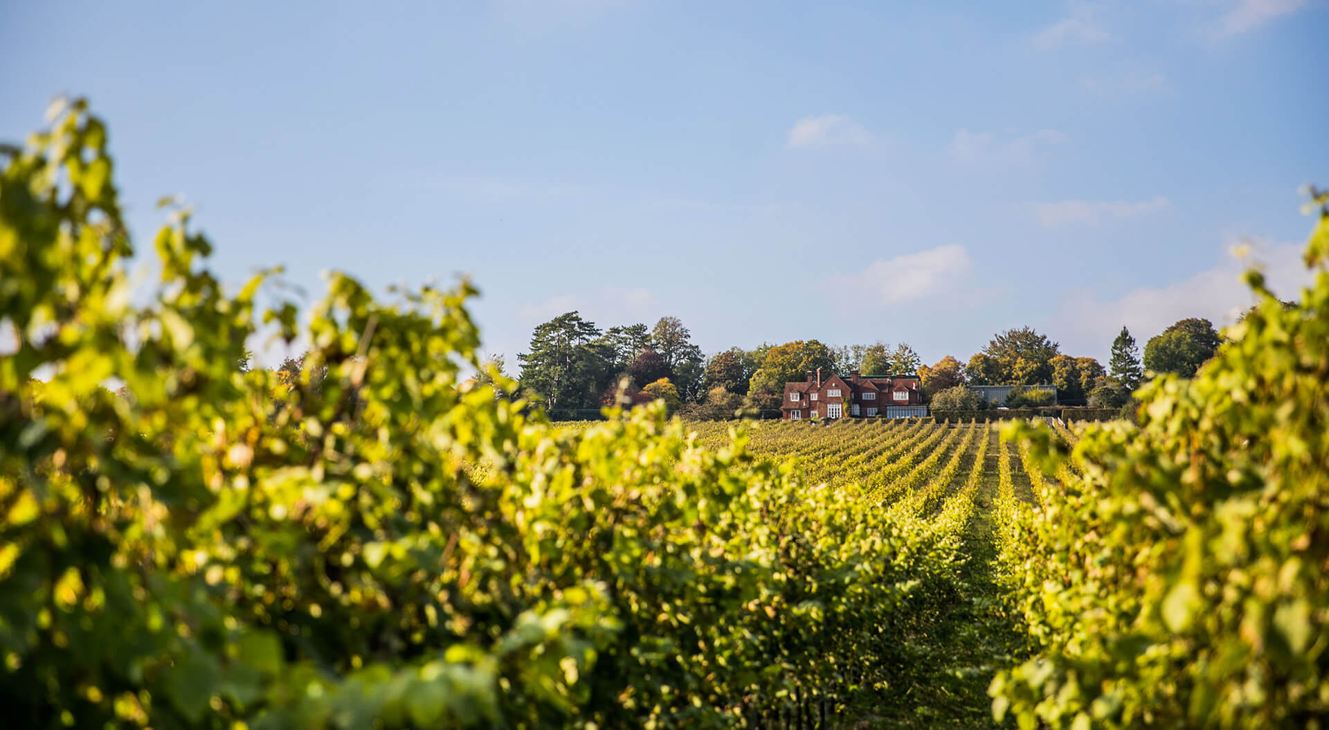 Hambledon producer page slider image