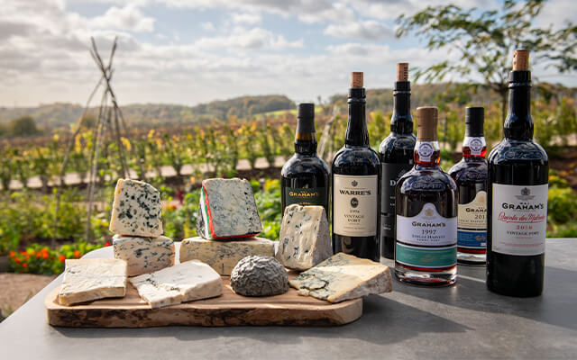 Iconic duo article image