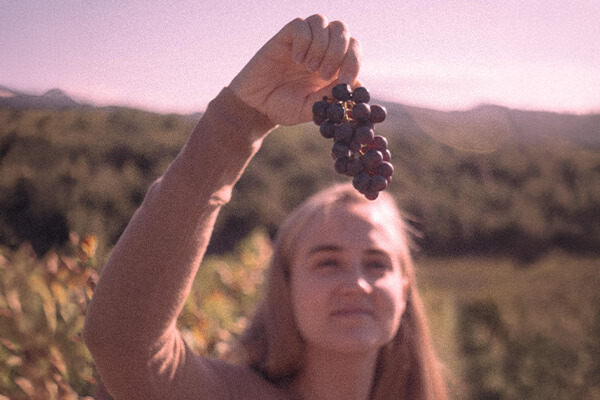 Innesto producer page small image 1