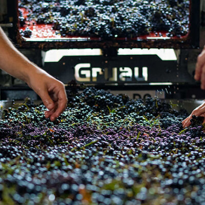 Beaujolais expertise