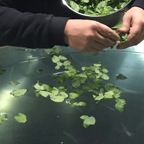 Insight - How its made article 2 image