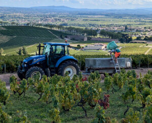 17 winemaking generations