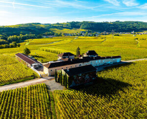 17 winemaking generations