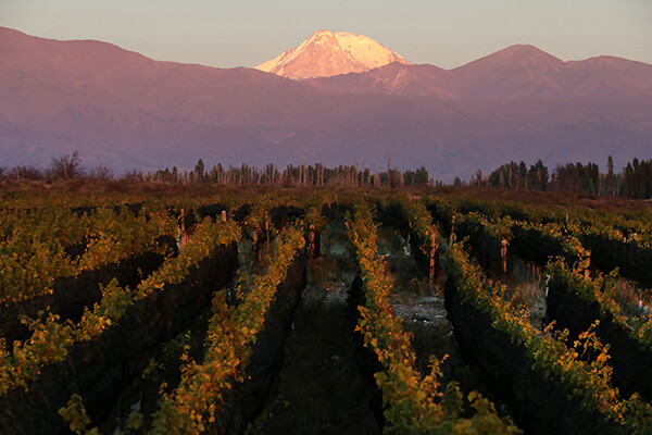 Lagarde media gallery thumb nail image