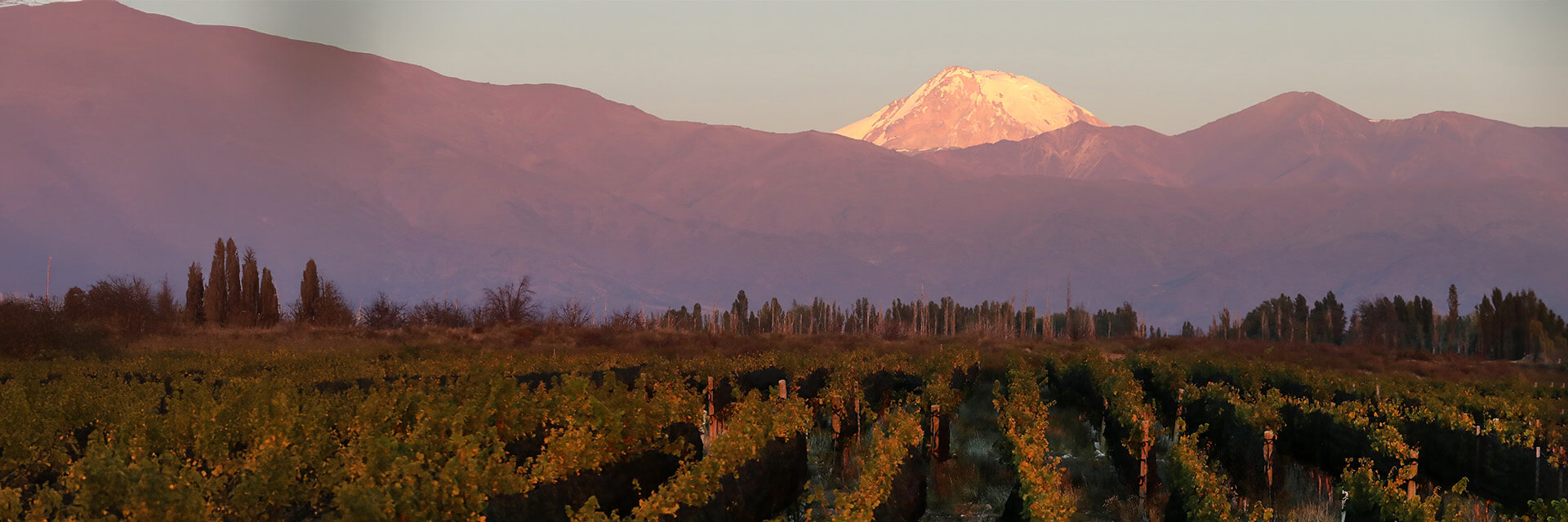 Fells welcomes Bodega Lagarde to its Portfolio