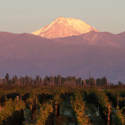 Fells welcomes Bodega Lagarde to its Portfolio