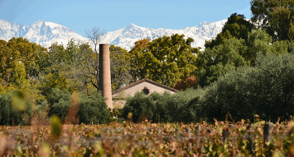 Lagarde's chardonnay article image 2