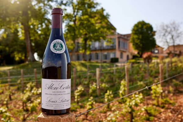 Latour image 2 burgundy version