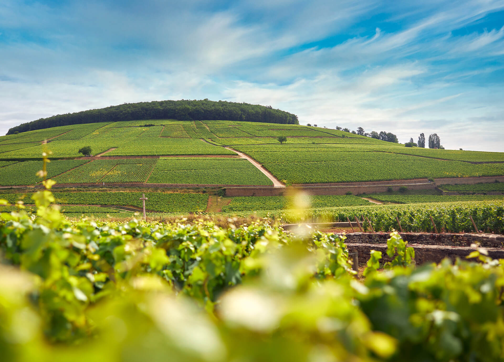 Latour main article image updated version