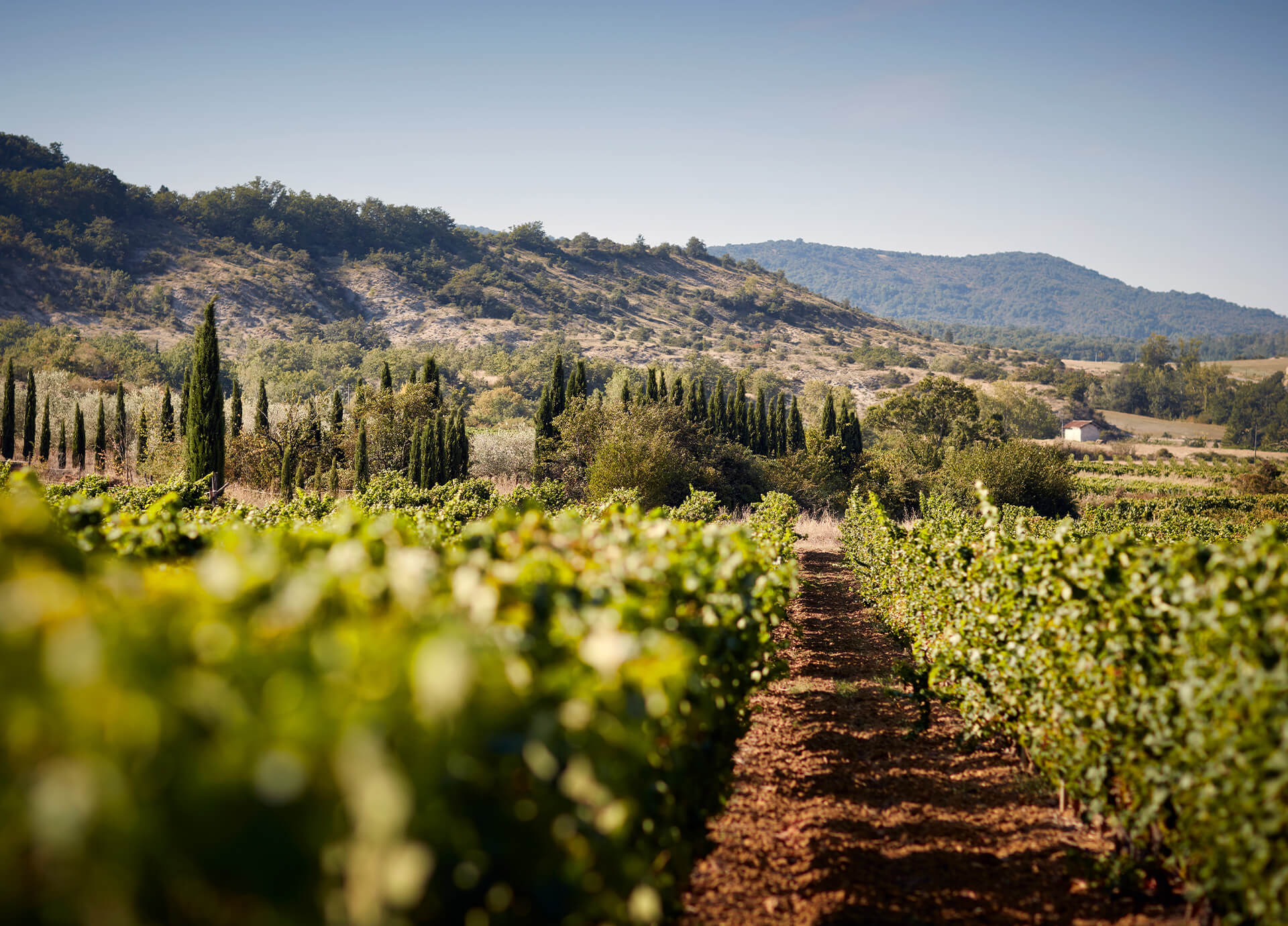 Latour main article image