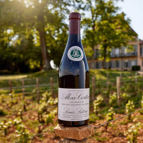 Latour small article image 3 replacement