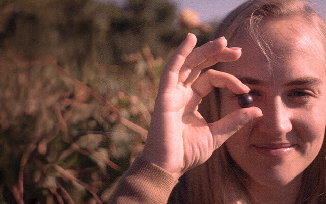 Innesto article image