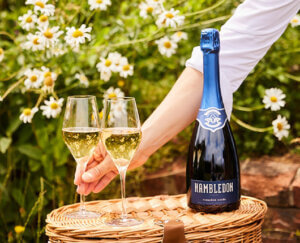 Birthplace of English Wine