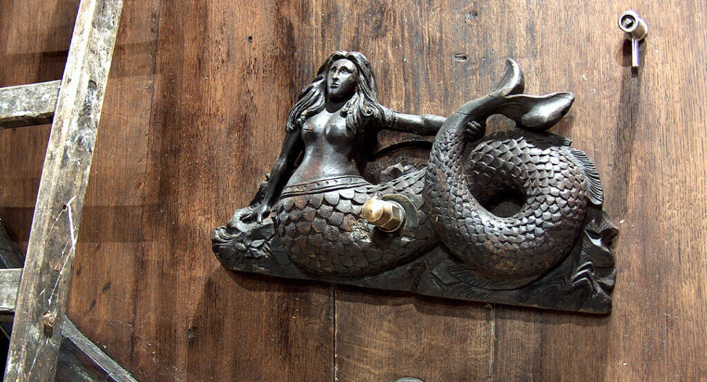 Newsletter header layout 1