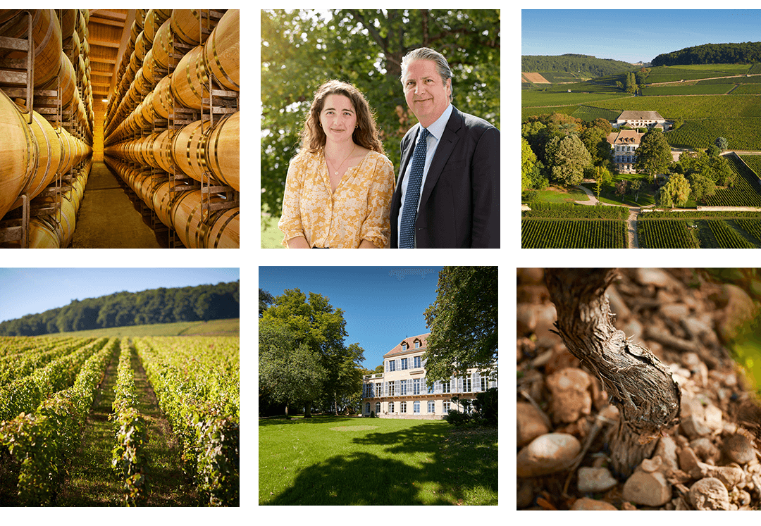 Kings of the Hill article image 1