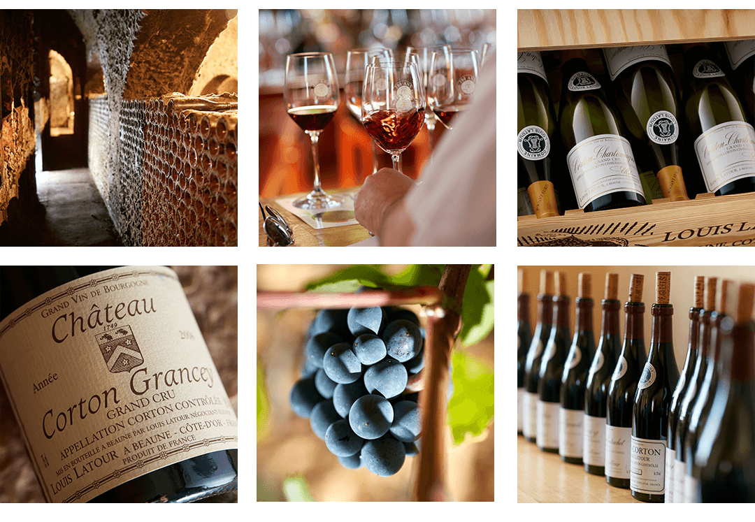 Kings of the Hill article image 2