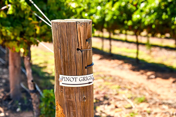 Oxford Landing producer page updated image 1