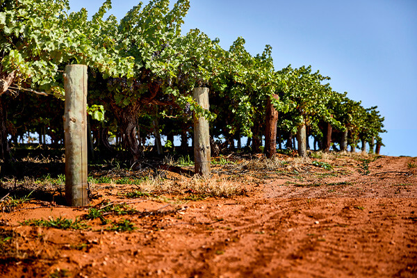 Oxford Landing producer page updated image 3