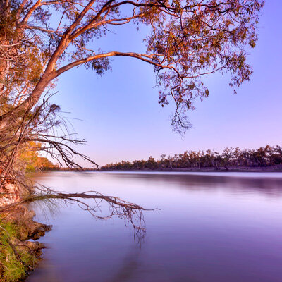 What does the future vintage look like?