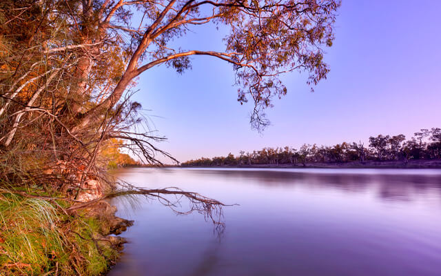 What does the future vintage look like?