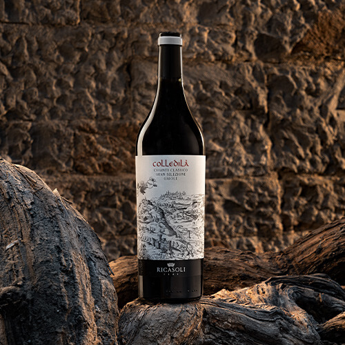 Ricasoli celebrates Anniversary colledila image