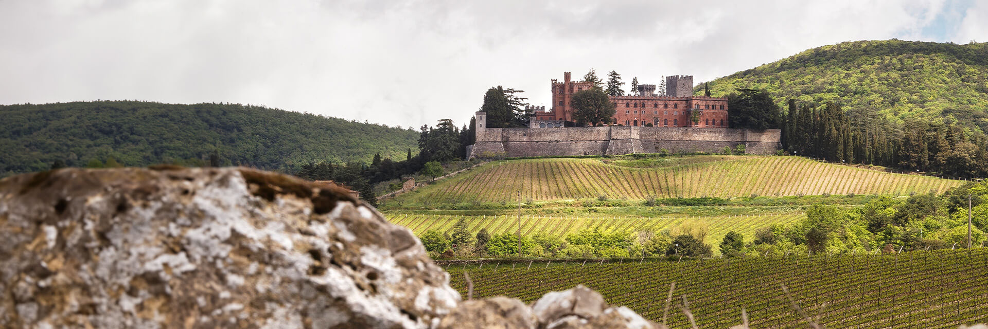 Ricasoli celebrates Anniversary