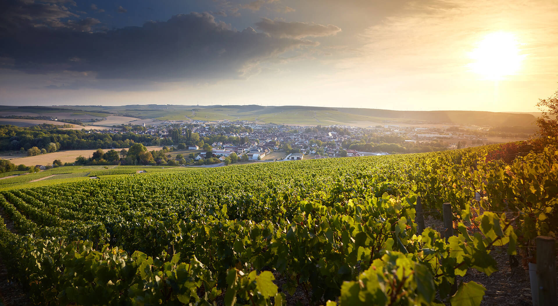 Simonnet-Febvre producer page slider image