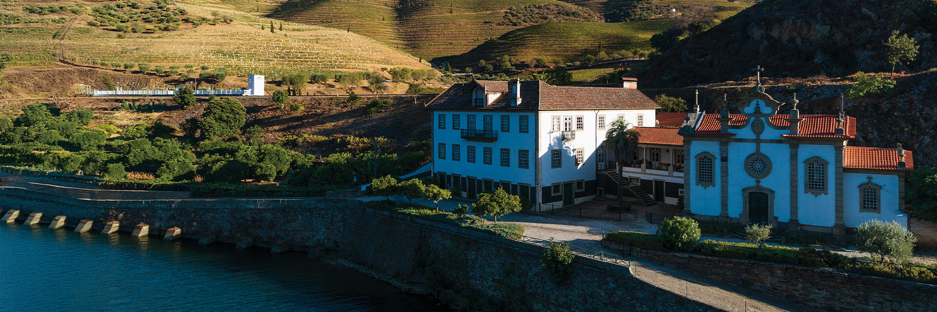 Symington Family Estates – ‘Highest Riser’