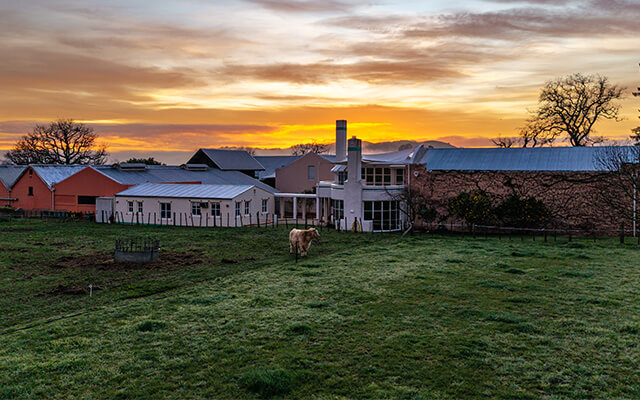 Te Mata’s newest recruit article image 1