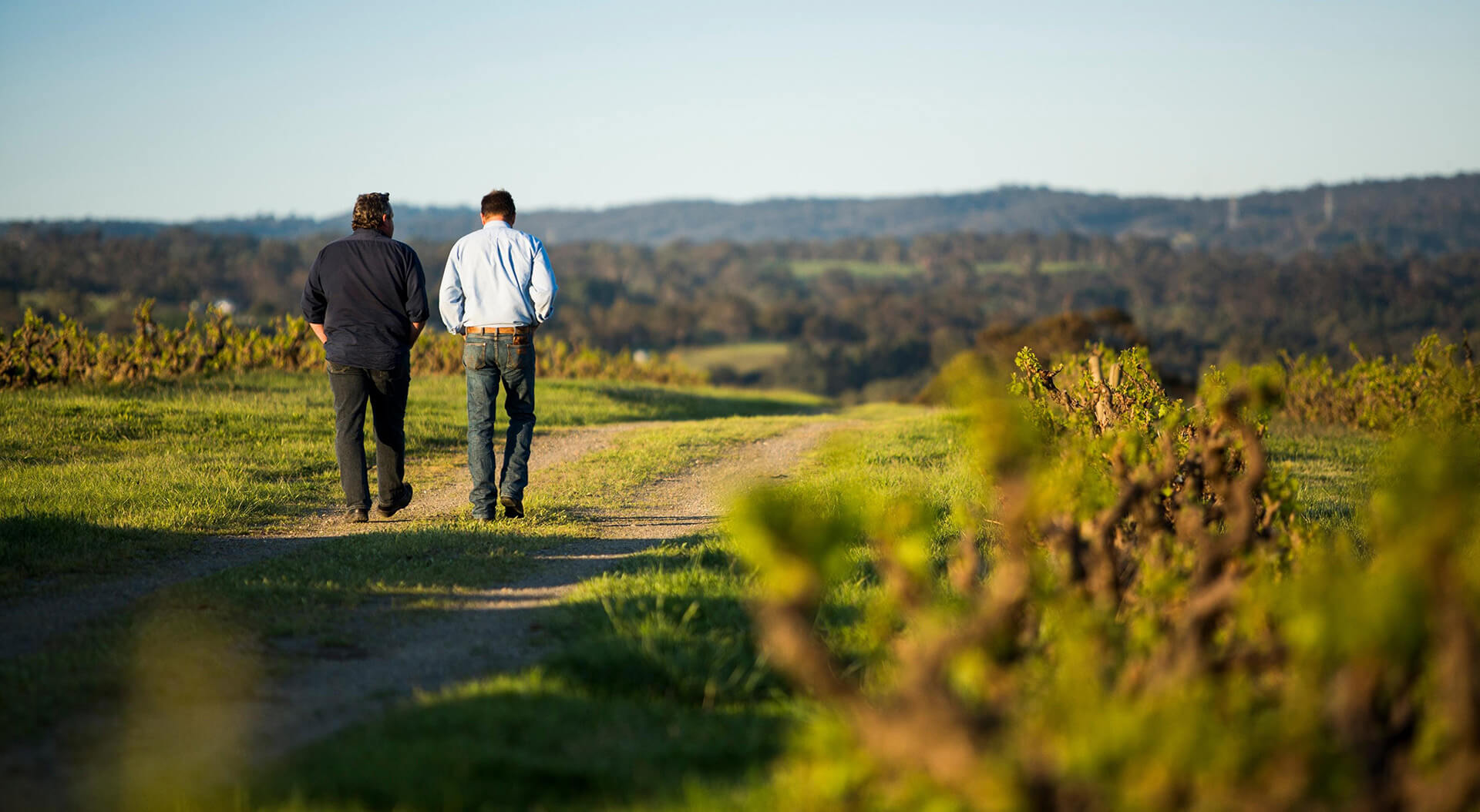 Yangarra Slider image