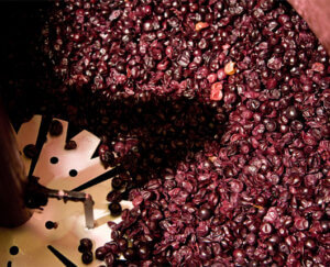 Generational winemaking