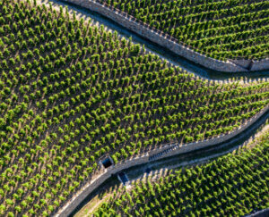 Generational winemaking