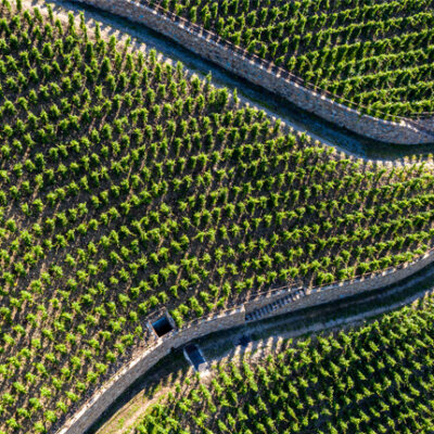 Côte-Rôtie’s finest