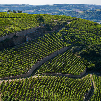 The ultimate Guigal tasting …