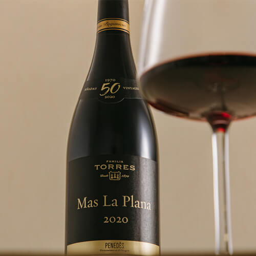 50 years of Mas La Plana
