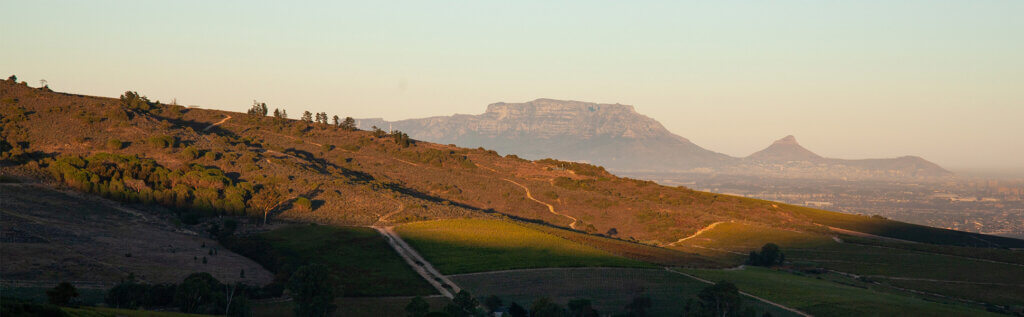 A new winery triptych